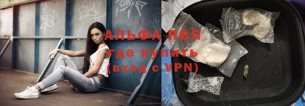 СК Абдулино