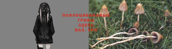 трава Алексеевка