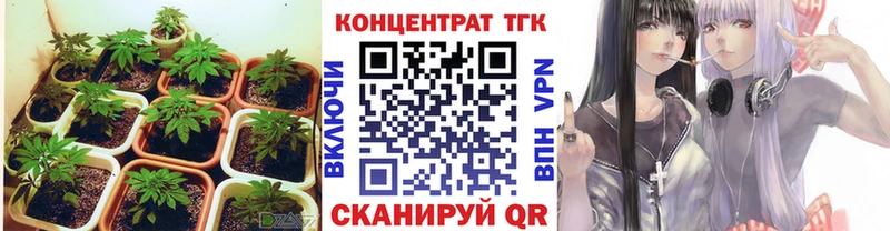где купить наркотик  Псков  ТГК вейп 